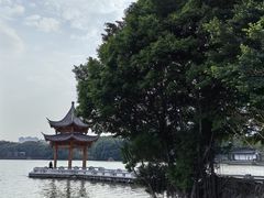 -西湖公园(鼓楼区)
