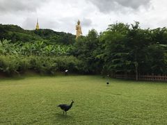 -西双版纳勐泐文化旅游区