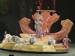 -广州长隆欢乐世界