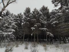 -长春市南湖公园