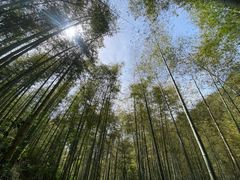 -黄公望隐居地