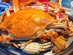 -半岛听涛蒸汽海鲜自助(K11店)