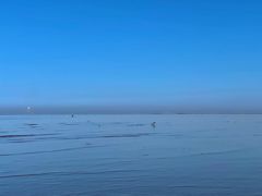 -华阳海鲜市场(府西路店)