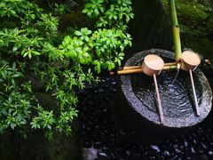 -西芳寺(苔寺)