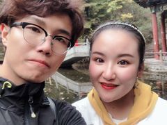 -王顺山国家森林公园