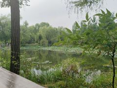 -郑州植物园