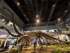 -自贡恐龙博物馆