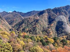 -光雾山旅游景区