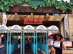 -苏州乐园森林水世界