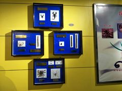 -上海昆虫博物馆