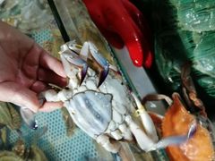 -盛华世家商业广场农贸水产综合批发市场