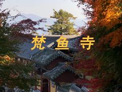 -海云台海滩