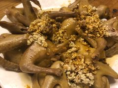 -百利鸽王(紫薇路店)