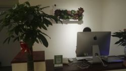 -谜秀专业半永久纹眉纹绣美瞳线洗眉