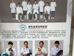 -谐和益家动物医院·免疫绝育·血液透析·宠保定点医院(高新伊藤分院)