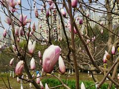 -白塘生态植物园