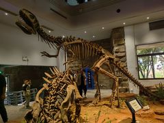 -自贡恐龙博物馆