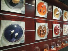 -青岛贝壳博物馆