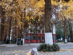 -四川大学(望江校区)