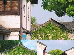 -鲁镇