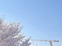-龙美术馆(西岸馆)