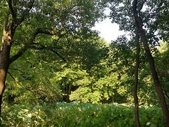 -东湖落雁景区