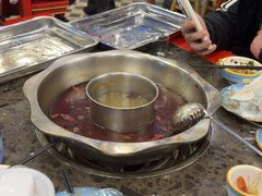 -金鼎雪山牦牛杂火锅(理县总店)