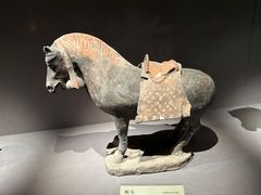 -大同市博物馆