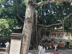 -南普陀素菜馆