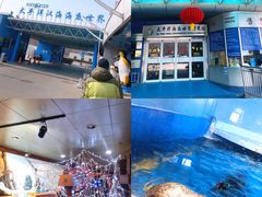 -太平洋海底世界