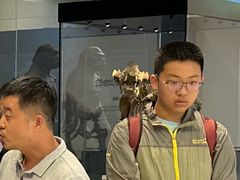 -北京周口店北京人遗址博物馆
