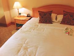 -南京维景国际大酒店(南京博物院店)