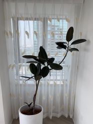 -HEYAN荷妍专业脱毛连锁机构