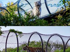 -红山森林动物园