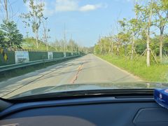 -泗洪洪泽湖湿地景区