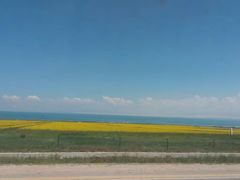 -青海湖国家重点风景名胜区