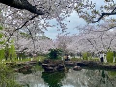 -范蠡湖公园