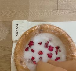 -奥斯芬欧系贵族SPA