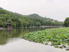 -西泠印社