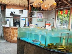 -耕渔小院·湖南鱼鲜(望城店)