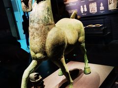 -广西壮族自治区博物馆