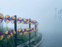 -武陵山森林公园