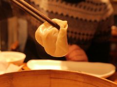 鲜肉小笼-苏小柳手工点心(人民广场分院)