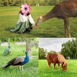 -萌宠亲子动物乐园(槐房万达店)