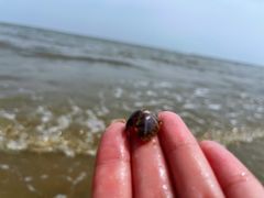 -天津东疆湾沙滩景区