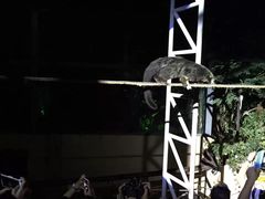 -清迈夜间动物园
