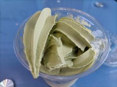 -萨朗刀克冰淇淋雪花凉(植物园店)