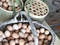 -马陆小张葡萄园农家乐