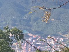 -安溪清水岩