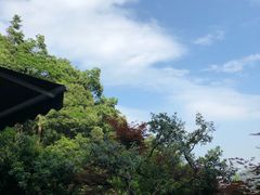 -十八棵（老龙井）御茶园(老龙井店)